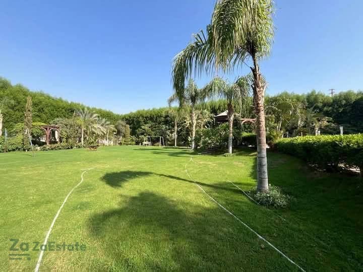 3 فدان مزرعة خط 5 شمال — 4